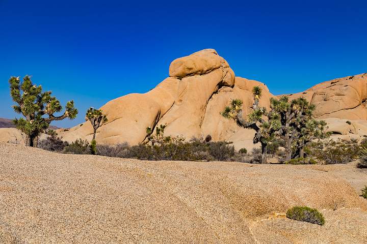 2016_05_21_17_37__MG_7947.jpg