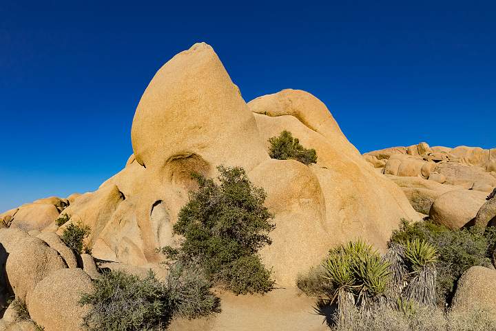 2016_05_21_17_49__MG_7957.jpg