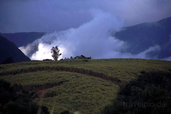 af_la_reunion_017.JPG - Eine Laune der Natur festgehalten auf dem franzsischen La Reunion