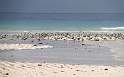 af_tz_sandbank_010