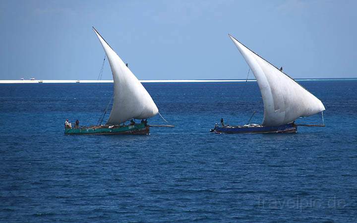 af_tz_stonetown_022.jpg - Segelboote - sog. Dhaus - vor der Kste Sansibars