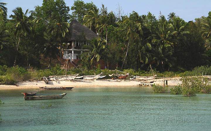 af_tz_hakuna_matata_beach_lodge_001.jpg - Strandbucht der Hakuna Matata Beach Lodge auf Sansibar