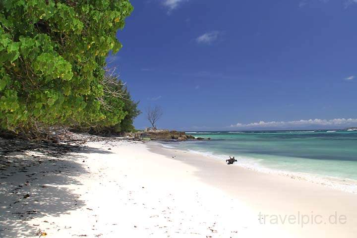 af_sey_praslin_014.jpg