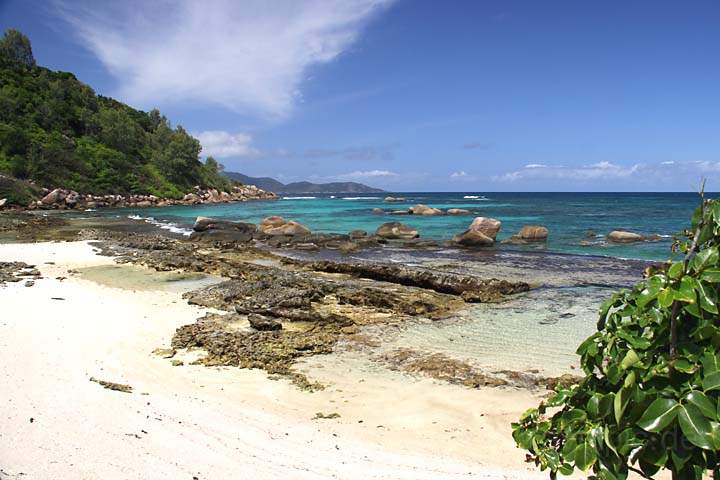 af_sey_praslin_021.jpg