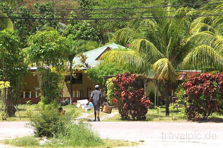 af_sey_praslin_032.jpg