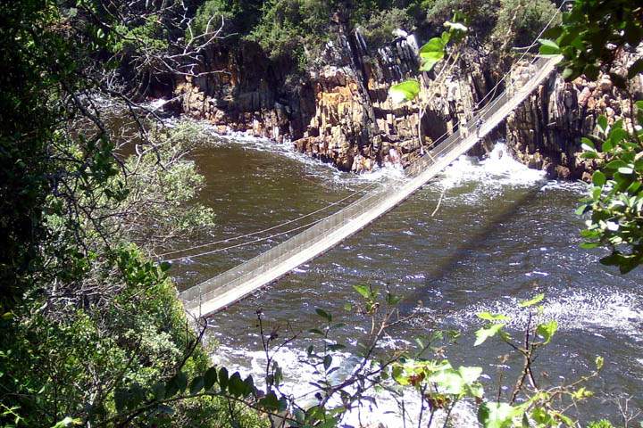 af_suedafrika_017.jpg - Hngebrcke im Tsitsikamma Nationalpark