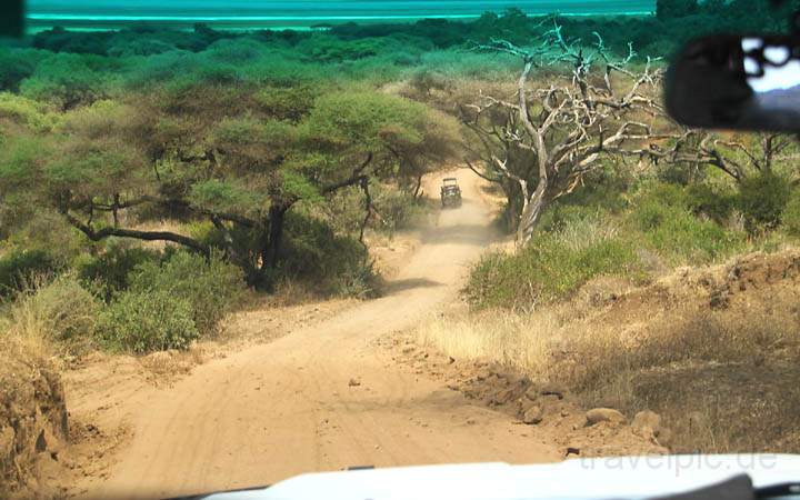 af_tz_lake_manyara_np_015.jpg - Unterwegs auf den Wegen des Manyara Nationalparks