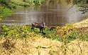 af_tz_lake_manyara_np_006