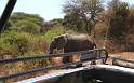 af_tz_lake_manyara_np_012