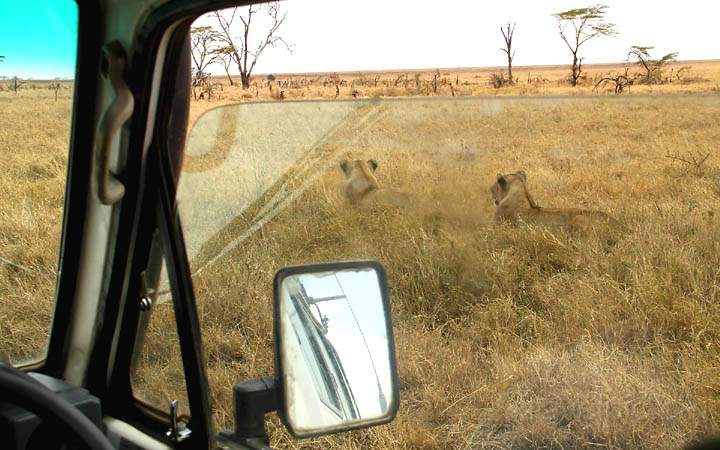 af_tz_serengeti_np_017.jpg