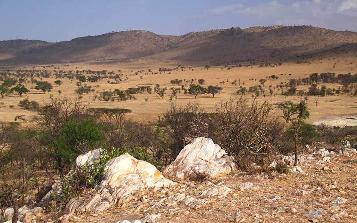 af_tz_serengeti_np_038.jpg