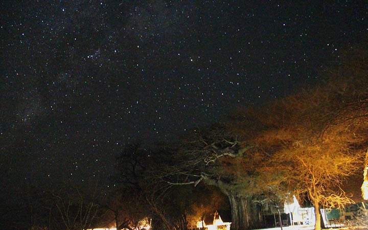 af_tz_tarangire_np_028.jpg - Ein faszinierender Sternenhimmel ist ber dem Tarangire Park zu sehen