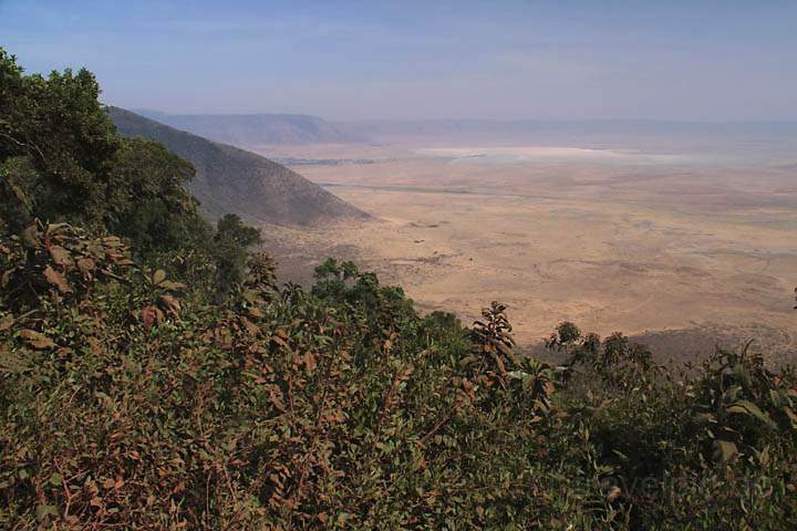 af_tz_ngorongoro_np_009.jpg - Phantastische Aussicht auf den Ngorongoro-Krater von der Strae am Rand