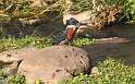 af_tz_lake_manyara_np_020