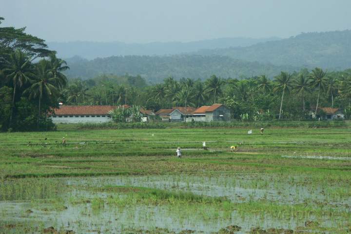 as_id_java_012.JPG - Ausblick aus dem Zug auf eine typische Landschaft in Zentraljava, Indonesien