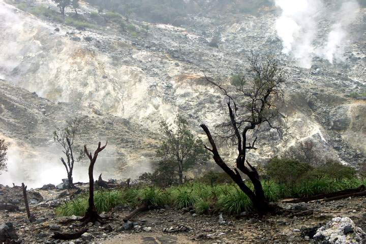 as_id_java_017.JPG - Die unwirdliche landschaft am Vulkan Salak im mittleren Westen der Insel Java, Indonesien