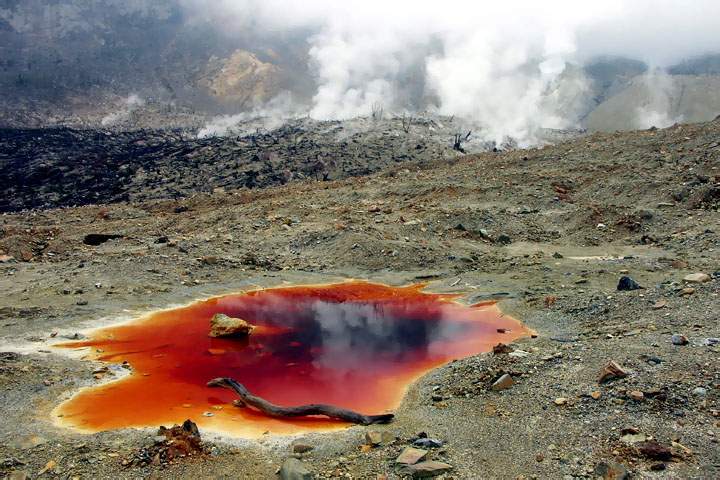 as_id_java_015.JPG - Unwirdliche Landschaft am Vulkan Papandayan auf Java, Indonesien