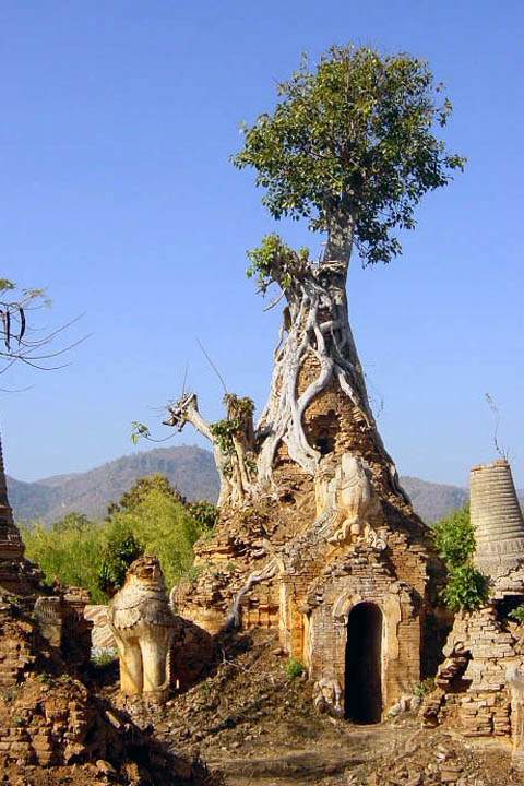 as_myanmar_021.jpg - eine von 1054 Stupas und Pagoden in Indein (beim Inle See)