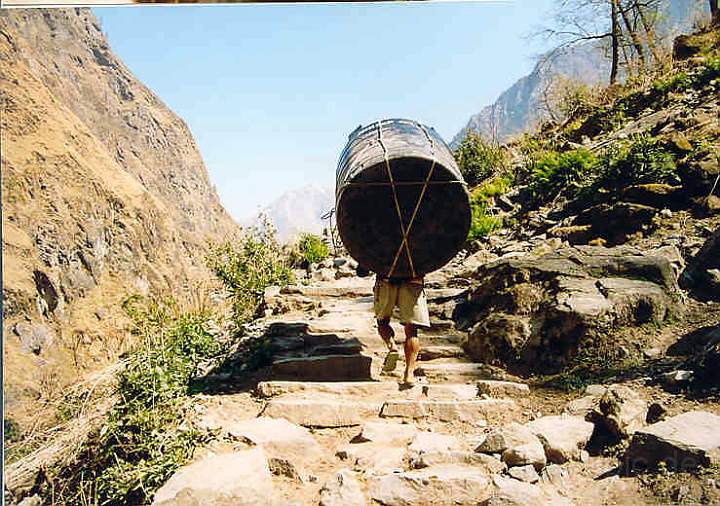 as_np_annapurna_019.JPG - Ein Lastentrger (Porter) trgt seine Last ber die Natursteinreppen in Richtung Ghorepani