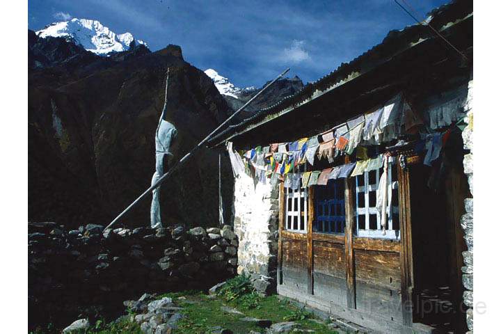 as_np_langtang_007.JPG - Berghtte auf dem Langtang Trek in Nepal