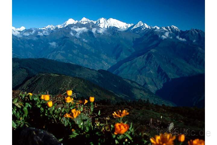 as_np_langtang_008.JPG - Die Aussicht von Laurebina auf die ber 100 Kilometer entfernte Annapurna Range mit mehreren 8000ern, Nepal