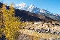 as_np_annapurna_003