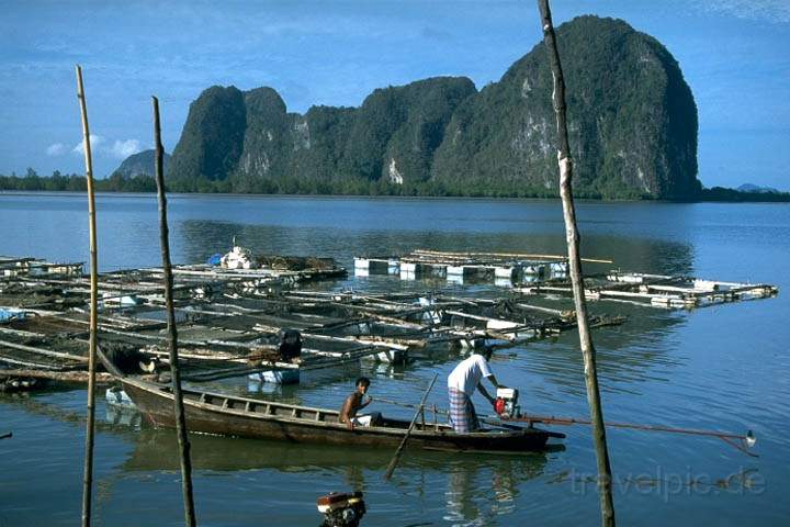 as_thailand_013.JPG - Die traumhafte Kulisse des Phang Na Nationalparks im Sdwesten von Thailand