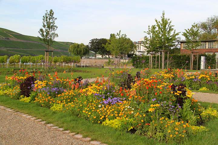 eu_de_bingen_019.jpg - Park an der Nahemndung in den Rhein