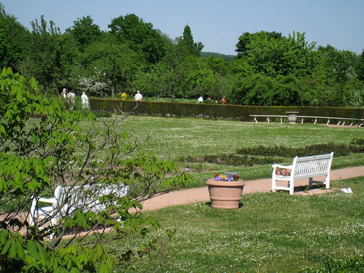 eu_de_darmstadt_022.jpg - Parkbnke auf der Rosenhhe