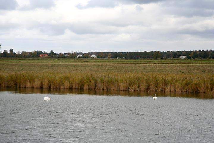 eu_de_fischland_darss_zingst_002.jpg - Boddenlandschaft zwischen Barth und Zingst