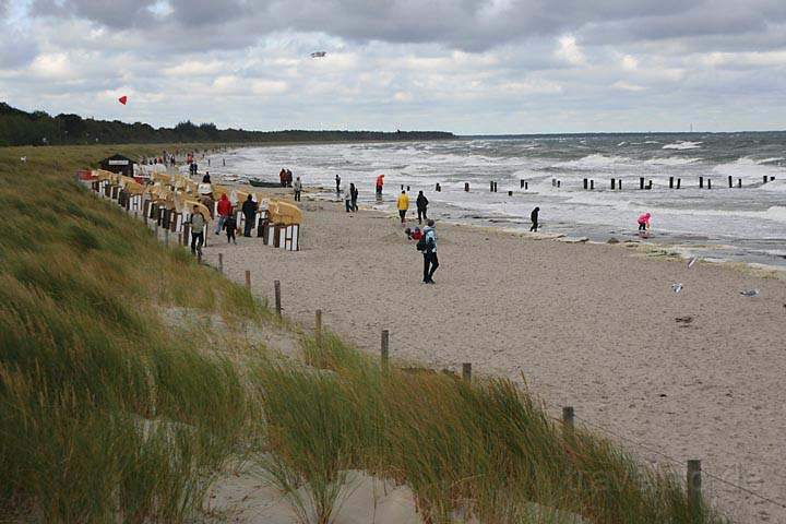 eu_de_fischland_darss_zingst_003.jpg - Im Oktober am Ostseestrand in Zingst, Mecklenburg-Vorpommern