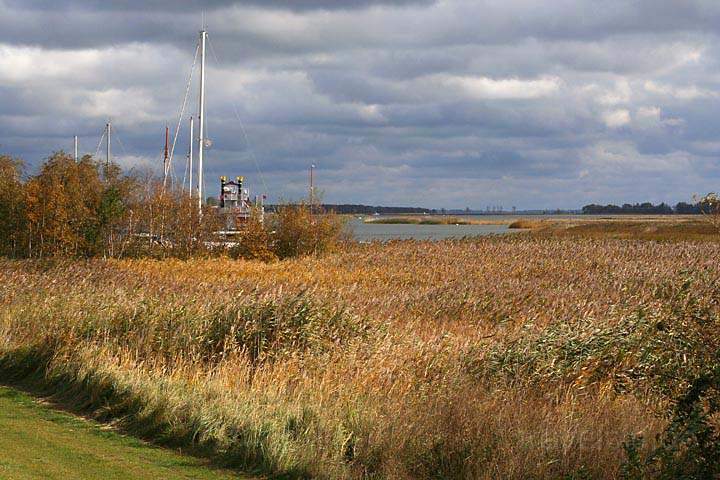 eu_de_fischland_darss_zingst_005.jpg - Herbstbild am Bodden bei Zingst an der Ostsee