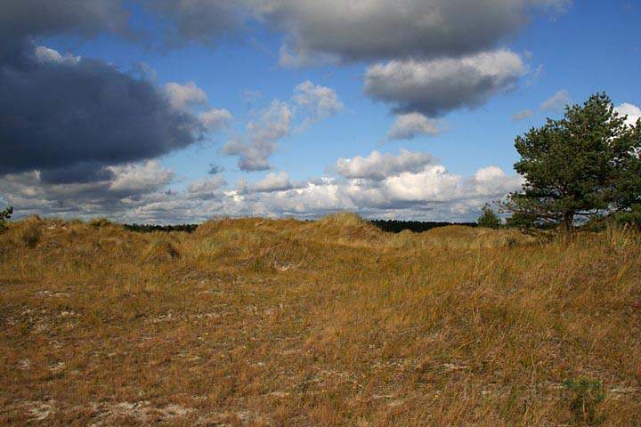 eu_de_fischland_darss_zingst_007.jpg - Sand- und Dnengelnde auf dem Dar