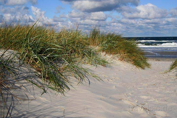 eu_de_fischland_darss_zingst_010.jpg - Dnen- und Strandlandschaft auf dem Dar an der Ostsee