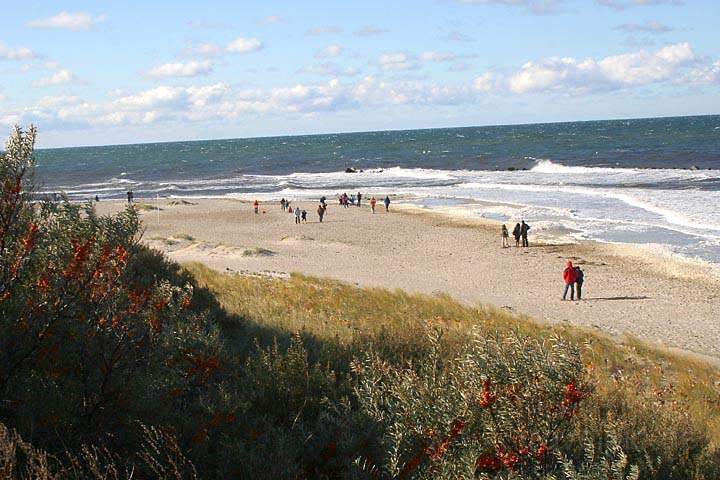 eu_de_fischland_darss_zingst_015.jpg - Blick auf den Strand bei Ahrenshoop auf Fischland