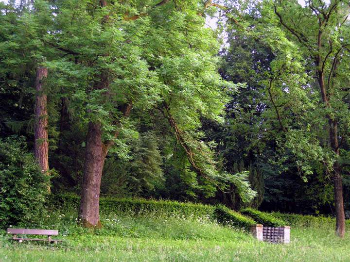 eu_de_fuerstenfeldbruck_010.jpg - Im Park hinter dem Zisterzienser-Kloster Frstenfeld