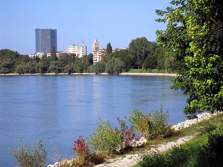 eu_de_mannheim_022.jpg - Blick auf den Lindenhof und das Viktoriahochhaus vom Waldpark am Rhein