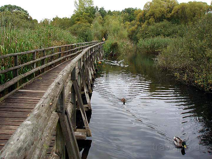 eu_de_mecklenburgische_seenplatte_006.jpg - Ein Radweg im Mritz-Nationalpark bei Waren in  Mecklenburg-Vorpommern