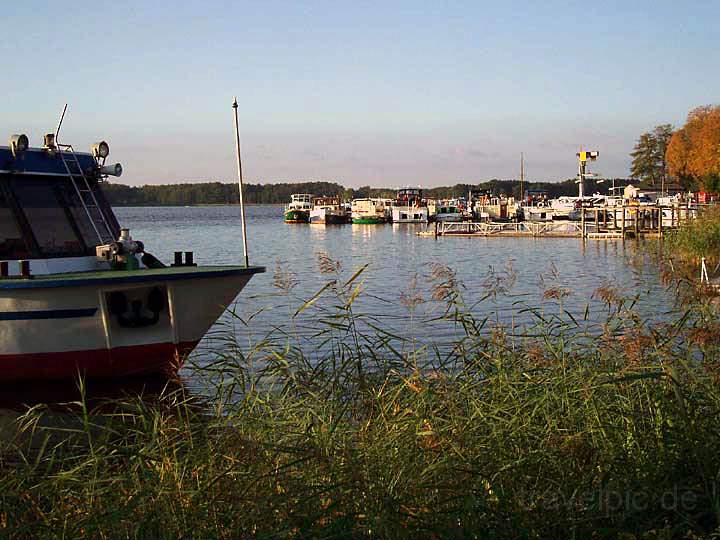 eu_de_mecklenburgische_seenplatte_015.jpg - Der Rheinsberger See bei Rheinsberg in Brandenburg