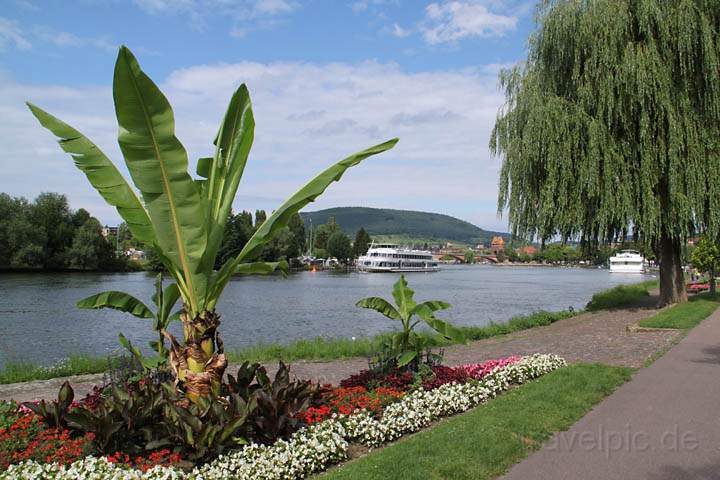 eu_de_miltenberg_002.jpg - Ein Mainschiff an der Mainstrae von Miltenberg