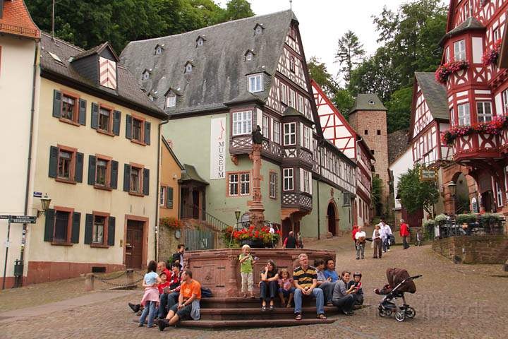 eu_de_miltenberg_018.jpg - Der aus rotem Sandstein im 16. Jh. erbaute Marktbrunnen am Marktplatz