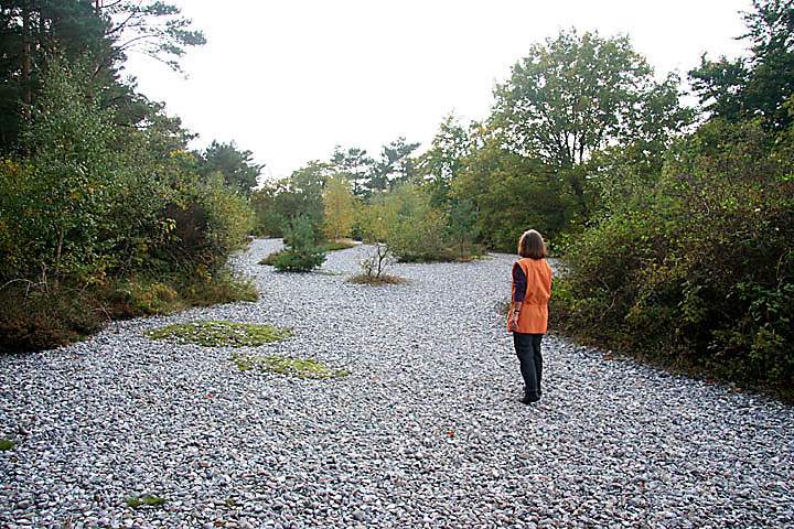 eu_de_ruegen_015.jpg - Ein Wanderweg durch die Feuersteinfelder sdlich von Neu Mukran