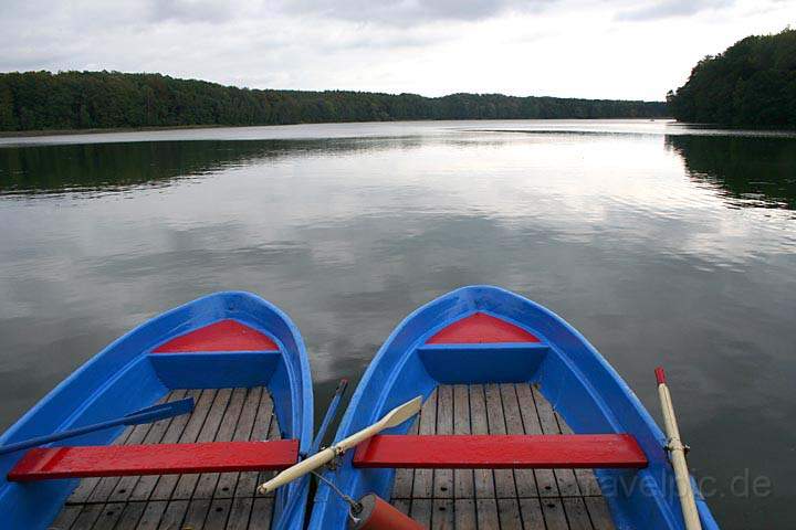 eu_de_usedom_011.jpg - Am Wolgastsee im Ahlbecker Forst Insel Usedom