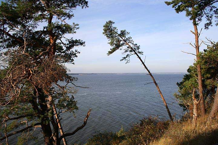 eu_de_usedom_031.jpg - Aussicht bei Wanderung von Ltow zum Weien Berg auf Usedom