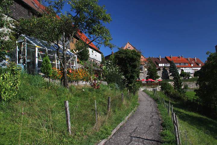 eu_de_waldenburg_013.jpg - Wanderweg unterhalb der Stadtmauer von Waldenburg