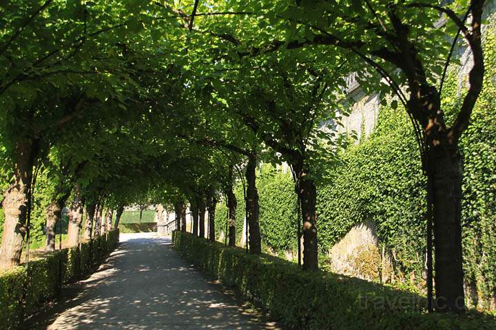 eu_de_wuerzburg_019.jpg - Eine kleine Allee im Hofgarten der Residenz von Wrzburg