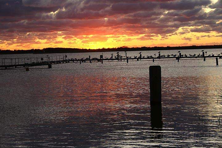 eu_de_fischland_darss_zingst_019.jpg - Sonnenuntergang im Ostseehafen in Wustrow auf Fischland