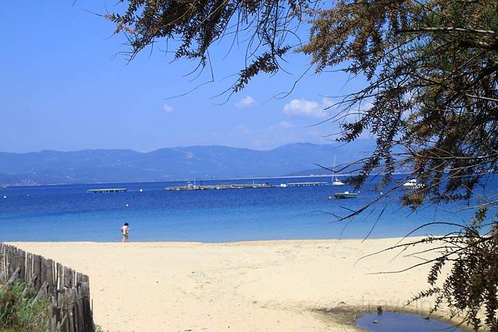 eu_fr_korsika_IMG_0361.jpg - Sandstrand von Campomoro, Sdwestkorsika