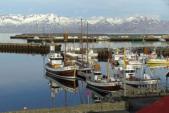 eu_island_006.jpg - Der Hafen von Husavik im Norden Island