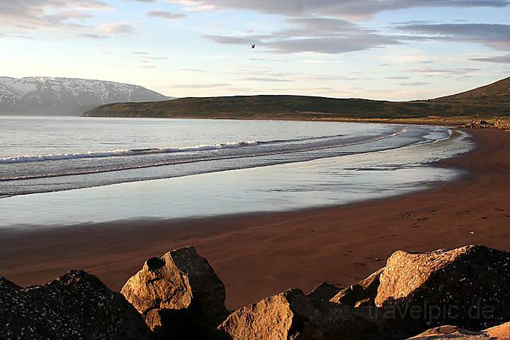 eu_island_009.jpg - Sandstrand bei Dalvik im Norden von Island am frhen Morgen